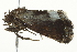  ( - BIOUG02067-C05)  @12 [ ] CreativeCommons - Attribution (2012) CBG Photography Group Centre for Biodiversity Genomics