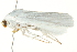  ( - BIOUG02068-G07)  @12 [ ] CreativeCommons - Attribution (2012) CBG Photography Group Centre for Biodiversity Genomics