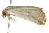  ( - BIOUG02077-A01)  @12 [ ] CreativeCommons - Attribution (2012) CBG Photography Group Centre for Biodiversity Genomics