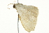 ( - BIOUG02077-F12)  @12 [ ] CreativeCommons - Attribution (2012) CBG Photography Group Centre for Biodiversity Genomics