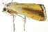  ( - BIOUG02069-C04)  @12 [ ] CreativeCommons - Attribution (2012) CBG Photography Group Centre for Biodiversity Genomics