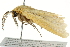  ( - BIOUG02069-D01)  @13 [ ] CreativeCommons - Attribution (2012) CBG Photography Group Centre for Biodiversity Genomics