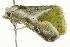 ( - BIOUG02069-D10)  @13 [ ] CreativeCommons - Attribution (2012) CBG Photography Group Centre for Biodiversity Genomics