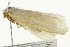  ( - BIOUG02069-F01)  @12 [ ] CreativeCommons - Attribution (2012) CBG Photography Group Centre for Biodiversity Genomics