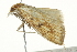  ( - BIOUG02069-H05)  @12 [ ] CreativeCommons - Attribution (2012) CBG Photography Group Centre for Biodiversity Genomics