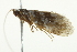  ( - BIOUG02070-E03)  @12 [ ] CreativeCommons - Attribution (2012) CBG Photography Group Centre for Biodiversity Genomics