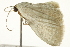  ( - BIOUG02070-E12)  @12 [ ] CreativeCommons - Attribution (2012) CBG Photography Group Centre for Biodiversity Genomics