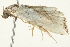  ( - BIOUG02070-F04)  @12 [ ] CreativeCommons - Attribution (2012) CBG Photography Group Centre for Biodiversity Genomics