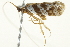  ( - BIOUG02070-F06)  @12 [ ] CreativeCommons - Attribution (2012) CBG Photography Group Centre for Biodiversity Genomics
