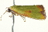  ( - BIOUG02070-F09)  @13 [ ] CreativeCommons - Attribution (2012) CBG Photography Group Centre for Biodiversity Genomics