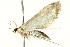  ( - BIOUG02070-H08)  @13 [ ] CreativeCommons - Attribution (2012) CBG Photography Group Centre for Biodiversity Genomics