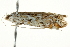  ( - BIOUG02072-A06)  @13 [ ] CreativeCommons - Attribution (2012) CBG Photography Group Centre for Biodiversity Genomics