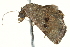  ( - BIOUG02072-A11)  @12 [ ] CreativeCommons - Attribution (2012) CBG Photography Group Centre for Biodiversity Genomics