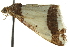  ( - BIOUG02072-C02)  @12 [ ] CreativeCommons - Attribution (2012) CBG Photography Group Centre for Biodiversity Genomics
