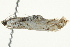  ( - BIOUG02072-C04)  @13 [ ] CreativeCommons - Attribution (2012) CBG Photography Group Centre for Biodiversity Genomics