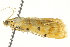  ( - BIOUG02072-C06)  @12 [ ] CreativeCommons - Attribution (2012) CBG Photography Group Centre for Biodiversity Genomics