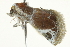  ( - BIOUG02072-E07)  @12 [ ] CreativeCommons - Attribution (2012) CBG Photography Group Centre for Biodiversity Genomics