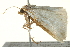  ( - BIOUG02073-B11)  @13 [ ] CreativeCommons - Attribution (2012) CBG Photography Group Centre for Biodiversity Genomics