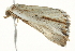  ( - BIOUG02073-C08)  @12 [ ] CreativeCommons - Attribution (2012) CBG Photography Group Centre for Biodiversity Genomics