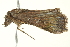 ( - BIOUG02073-F02)  @12 [ ] CreativeCommons - Attribution (2012) CBG Photography Group Centre for Biodiversity Genomics