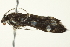 ( - BIOUG02073-F04)  @12 [ ] CreativeCommons - Attribution (2012) CBG Photography Group Centre for Biodiversity Genomics