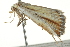  ( - BIOUG02073-H04)  @12 [ ] CreativeCommons - Attribution (2012) CBG Photography Group Centre for Biodiversity Genomics
