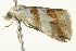  ( - BIOUG02074-B11)  @12 [ ] CreativeCommons - Attribution (2012) CBG Photography Group Centre for Biodiversity Genomics