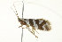  ( - BIOUG02074-C01)  @12 [ ] CreativeCommons - Attribution (2012) CBG Photography Group Centre for Biodiversity Genomics