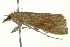  ( - BIOUG02074-C09)  @12 [ ] CreativeCommons - Attribution (2012) CBG Photography Group Centre for Biodiversity Genomics