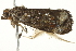  ( - BIOUG02074-D08)  @12 [ ] CreativeCommons - Attribution (2012) CBG Photography Group Centre for Biodiversity Genomics