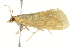  ( - BIOUG02074-H02)  @12 [ ] CreativeCommons - Attribution (2012) CBG Photography Group Centre for Biodiversity Genomics