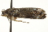  ( - BIOUG02075-E10)  @12 [ ] CreativeCommons - Attribution (2012) CBG Photography Group Centre for Biodiversity Genomics