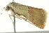  ( - BIOUG02075-G05)  @12 [ ] CreativeCommons - Attribution (2012) CBG Photography Group Centre for Biodiversity Genomics