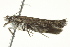 ( - BIOUG02075-H04)  @12 [ ] CreativeCommons - Attribution (2012) CBG Photography Group Centre for Biodiversity Genomics