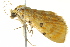 ( - BIOUG02075-H08)  @12 [ ] CreativeCommons - Attribution (2012) CBG Photography Group Centre for Biodiversity Genomics