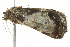  ( - BIOUG02076-A05)  @12 [ ] CreativeCommons - Attribution (2012) CBG Photography Group Centre for Biodiversity Genomics