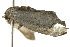  ( - BIOUG02076-C01)  @12 [ ] CreativeCommons - Attribution (2012) CBG Photography Group Centre for Biodiversity Genomics
