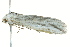  ( - BIOUG02076-H11)  @12 [ ] CreativeCommons - Attribution (2012) CBG Photography Group Centre for Biodiversity Genomics