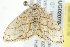  ( - BIOUG02078-C07)  @12 [ ] CreativeCommons - Attribution (2012) CBG Photography Group Centre for Biodiversity Genomics