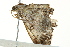  ( - BIOUG02078-D05)  @12 [ ] CreativeCommons - Attribution (2012) CBG Photography Group Centre for Biodiversity Genomics