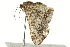  ( - BIOUG02078-E01)  @12 [ ] CreativeCommons - Attribution (2012) CBG Photography Group Centre for Biodiversity Genomics