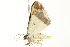  ( - BIOUG02079-A01)  @13 [ ] CreativeCommons - Attribution (2012) CBG Photography Group Centre for Biodiversity Genomics