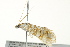  ( - BIOUG02079-B08)  @12 [ ] CreativeCommons - Attribution (2012) CBG Photography Group Centre for Biodiversity Genomics