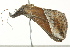  ( - BIOUG02079-C01)  @12 [ ] CreativeCommons - Attribution (2012) CBG Photography Group Centre for Biodiversity Genomics