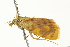  ( - BIOUG02079-D08)  @12 [ ] CreativeCommons - Attribution (2012) CBG Photography Group Centre for Biodiversity Genomics