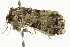  ( - BIOUG02079-D10)  @12 [ ] CreativeCommons - Attribution (2012) CBG Photography Group Centre for Biodiversity Genomics