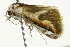 ( - BIOUG02079-D12)  @13 [ ] CreativeCommons - Attribution (2012) CBG Photography Group Centre for Biodiversity Genomics