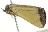  ( - BIOUG02079-G05)  @13 [ ] CreativeCommons - Attribution (2012) CBG Photography Group Centre for Biodiversity Genomics