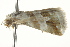  ( - BIOUG02079-H08)  @12 [ ] CreativeCommons - Attribution (2012) CBG Photography Group Centre for Biodiversity Genomics