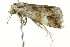  ( - BIOUG02080-A02)  @12 [ ] CreativeCommons - Attribution (2012) CBG Photography Group Centre for Biodiversity Genomics